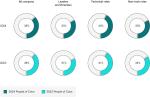 GoDaddy: U.S. Race & Ethnic Diversity by Role